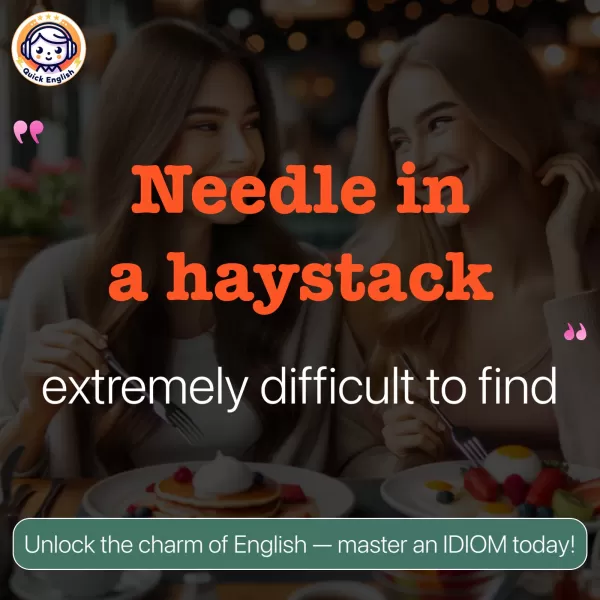 Needle in a haystack.