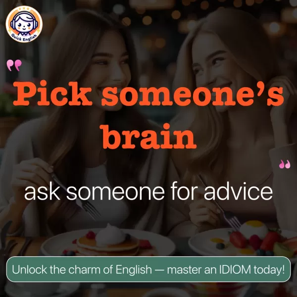 Pick someone’s brain.
