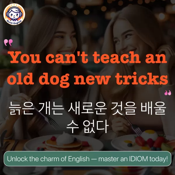 You can't teach an old dog new tricks.