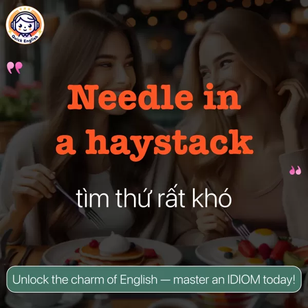 Needle in a haystack.