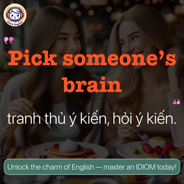 Pick someone’s brain.